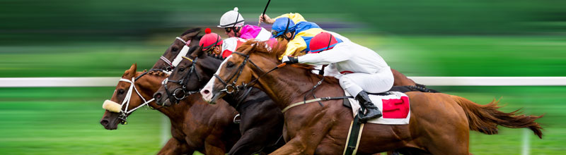 what to do in Murray Bridge - What to do in Riverlands- races - Murray Bridge Racecourse