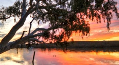 Murray River Highlights